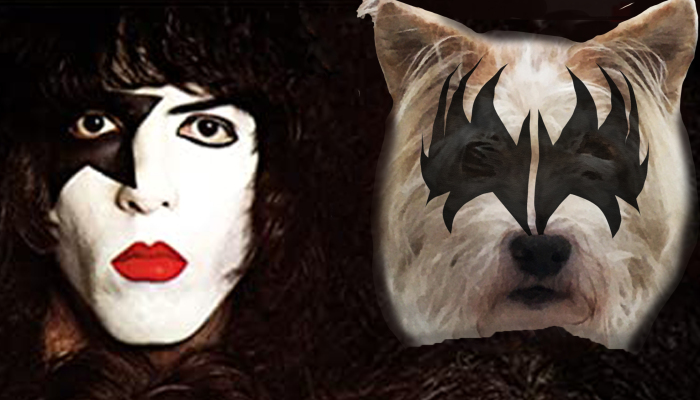 I Photoshop My Dogs Into Classic Album Covers