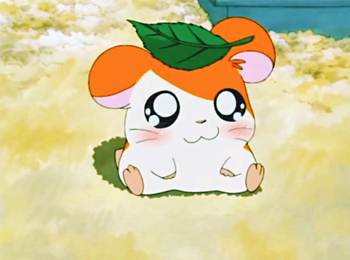 Hamtaro From Hamtaro