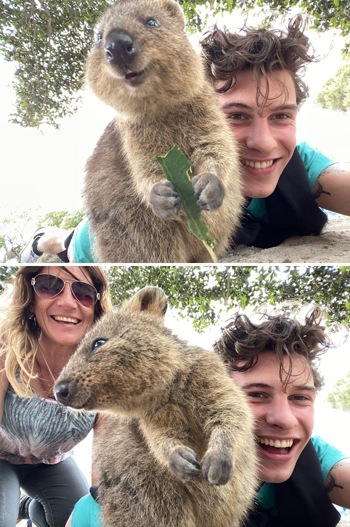 I Met A Quokka !!!