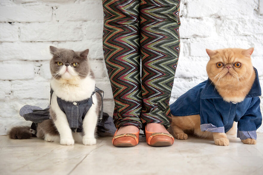 Stylish Marie & Pierre