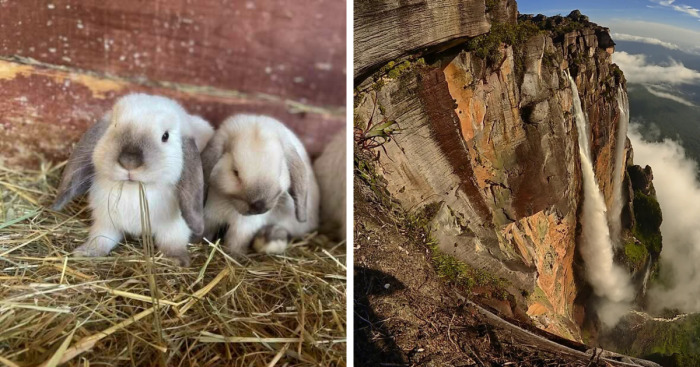 Hey Pandas, Post The Most Positive Pics You’ve Taken