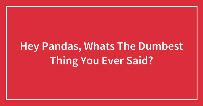 Hey Pandas, Whats The Dumbest Thing You Ever Said?