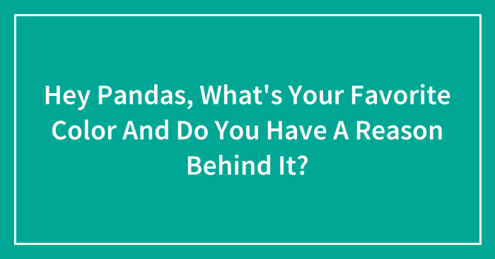 Hey Pandas, What’s Your Favorite Color And Do You Have A Reason Behind It?