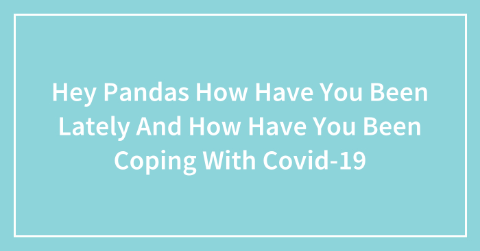 Hey Pandas How Have You Been Lately And How Have You Been Coping With Covid-19