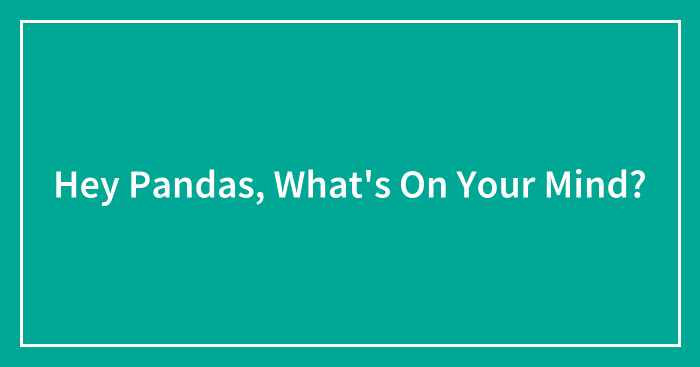 Hey Pandas, What’s On Your Mind?