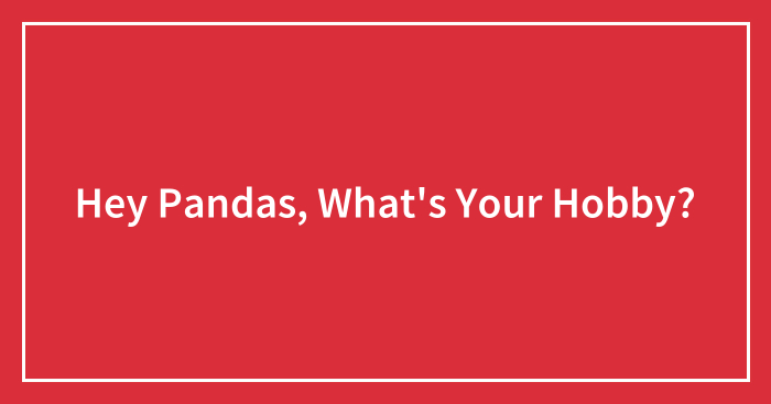 Hey Pandas, What’s Your Hobby?