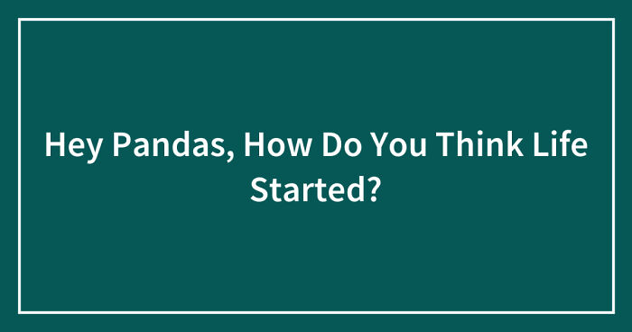 Hey Pandas, How Do You Think Life Started? (Closed)