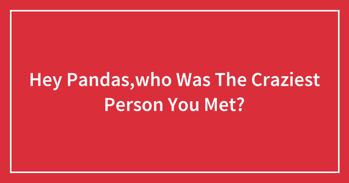 Hey Pandas,who Was The Craziest Person You Met?