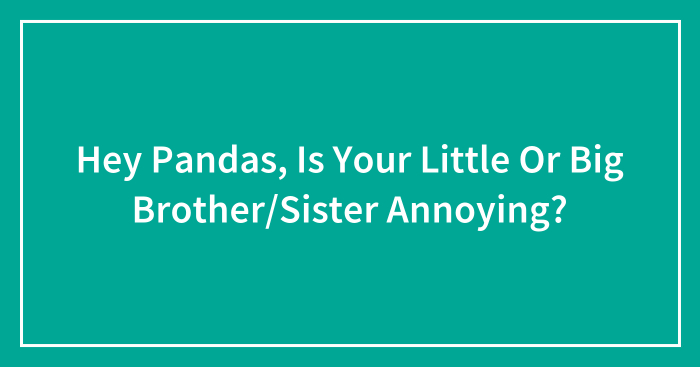 Hey Pandas, Is Your Little Or Big Brother/Sister Annoying?