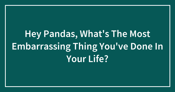 Hey Pandas, What’s The Most Embarrassing Thing You’ve Done In Your Life?