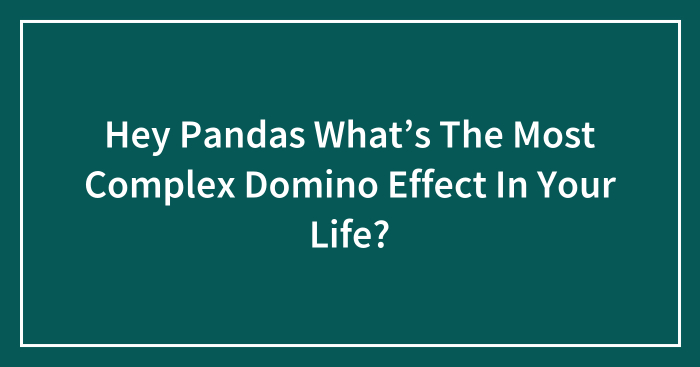 Hey Pandas What’s The Most Complex Domino Effect In Your Life?