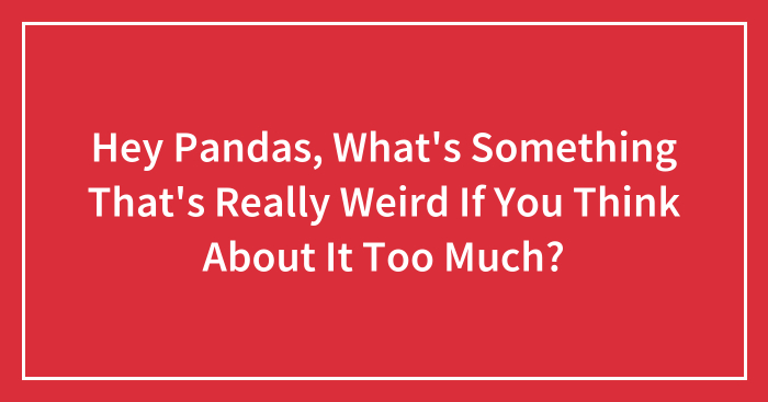Hey Pandas, What’s Something That’s Really Weird If You Think About It Too Much?