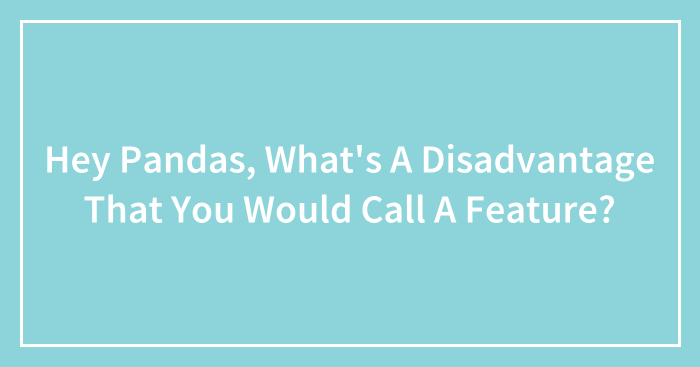 Hey Pandas, What’s A Disadvantage That You Would Call A Feature?
