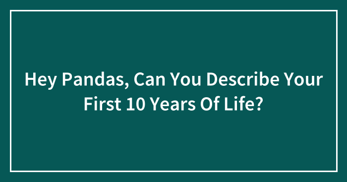 Hey Pandas, Can You Describe Your First 10 Years Of Life?