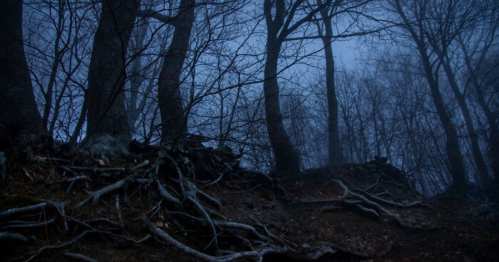 I Felt The Erebus On The Centaur΄s Mountain Pelion (10 Pics)