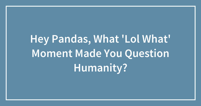 Hey Pandas, What ‘Lol What’ Moment Made You Question Humanity? (Closed)