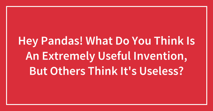 Hey Pandas! What Do You Think Is An Extremely Useful Invention, But Others Think It’s Useless?