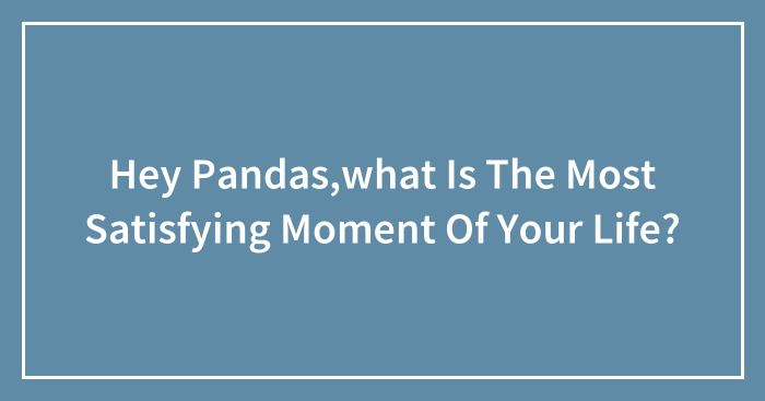 Hey Pandas,what Is The Most Satisfying Moment Of Your Life?