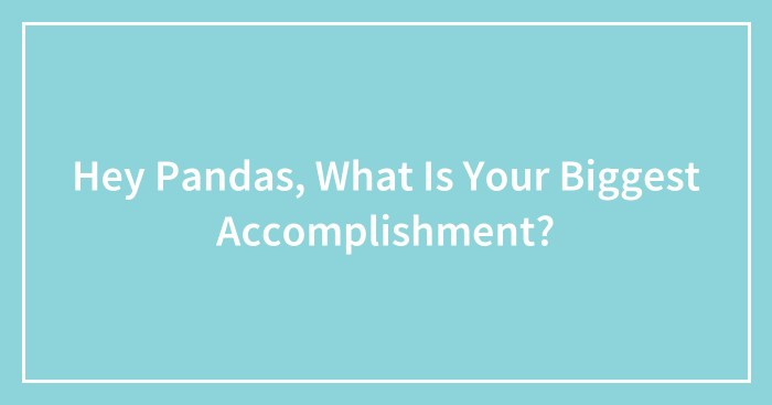 Hey Pandas, What Is Your Biggest Accomplishment? (Closed)