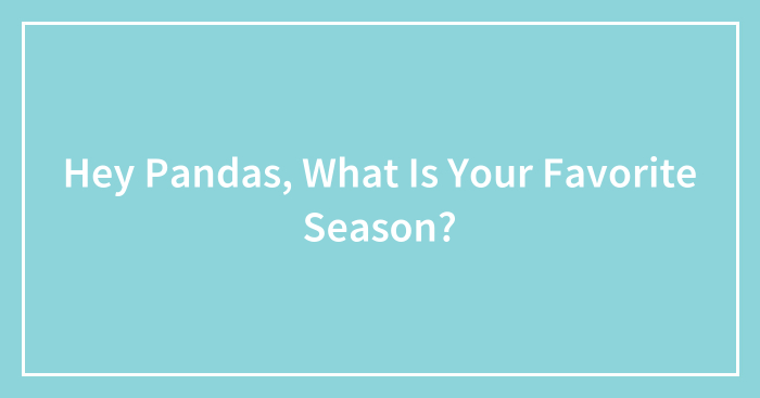 Hey Pandas, What Is Your Favorite Season? (Closed)