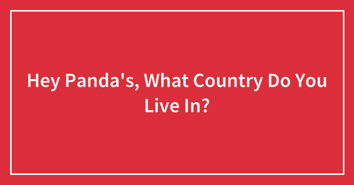 Hey Panda’s, What Country Do You Live In?