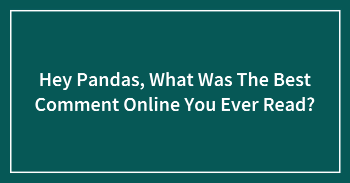 Hey Pandas, What Was The Best Comment Online You Ever Read?