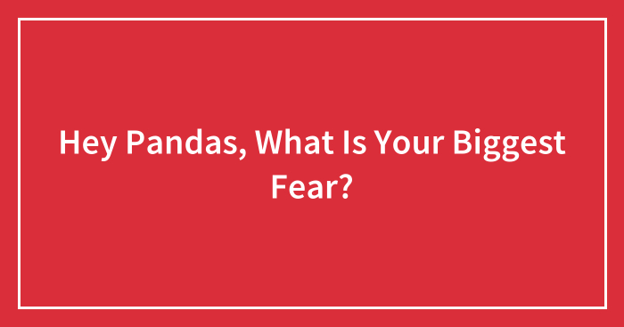 Hey Pandas, What Is Your Biggest Fear?