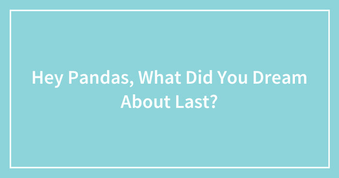 Hey Pandas, What Did You Dream About Last? (Closed)