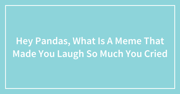 Hey Pandas, What Is A Meme That Made You Laugh So Much You Cried