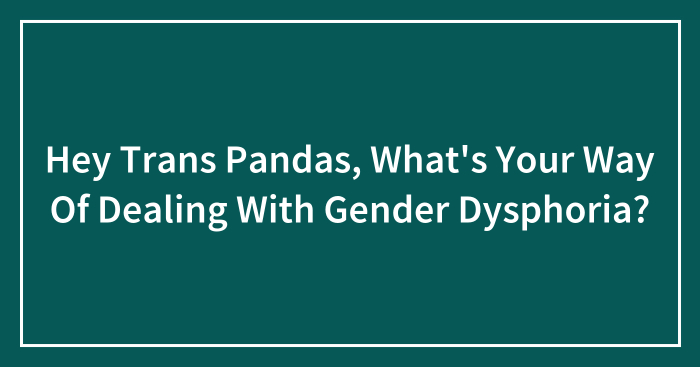 Hey Trans Pandas, What’s Your Way Of Dealing With Gender Dysphoria?