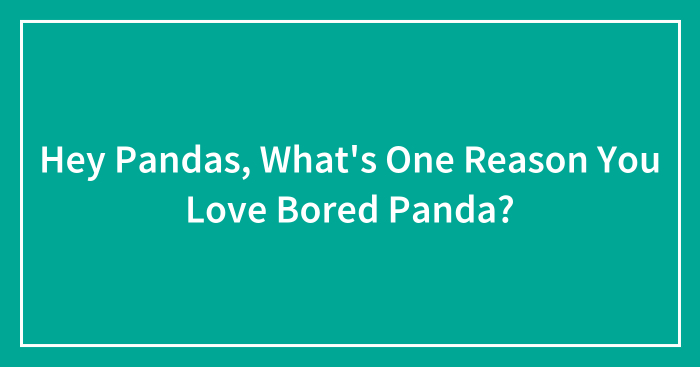 Hey Pandas, What’s One Reason You Love Bored Panda? (Closed)