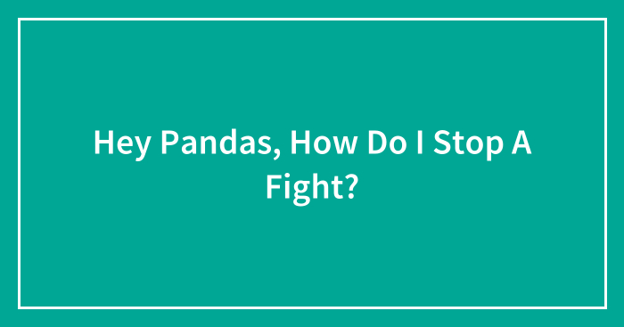 Hey Pandas, How Do I Stop A Fight? (Closed)