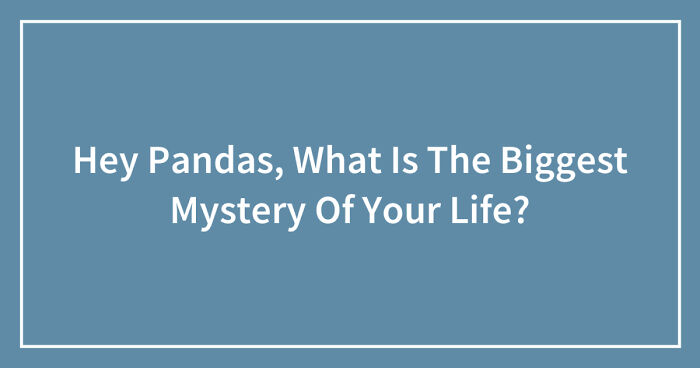 Hey Pandas, What Is The Biggest Mystery Of Your Life? (Closed)