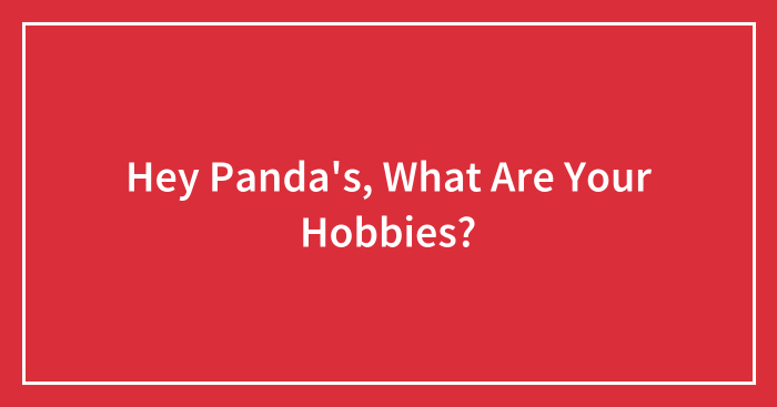 Hey Panda’s, What Are Your Hobbies?