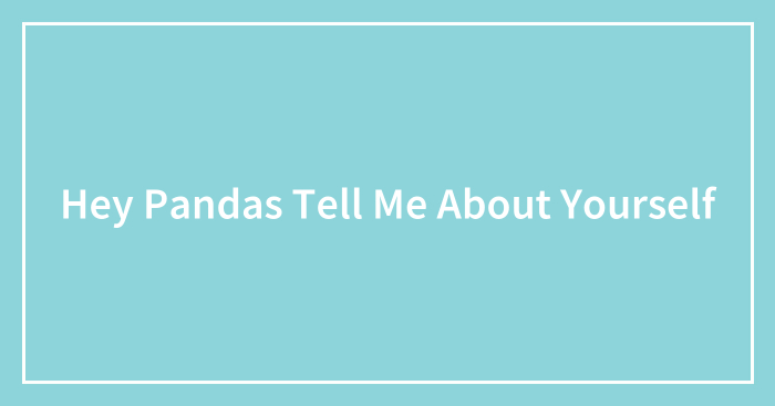 Hey Pandas Tell Me About Yourself