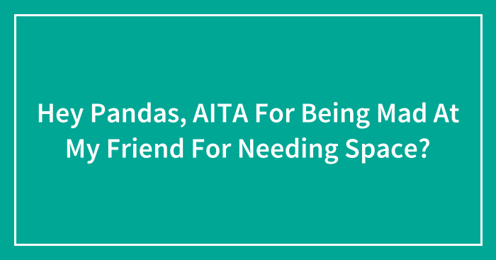 Hey Pandas, AITA For Being Mad At My Friend For Needing Space? (Closed)