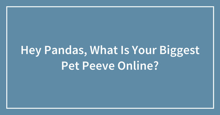 Hey Pandas, What Is Your Biggest Pet Peeve Online? (Closed)