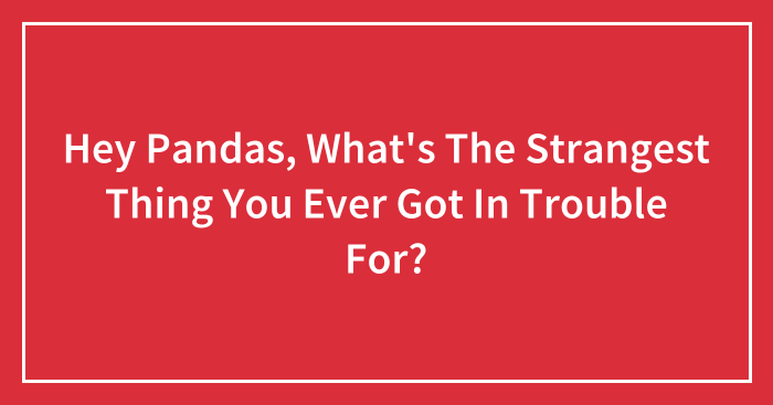 Hey Pandas, What’s The Strangest Thing You Ever Got In Trouble For? (Closed)