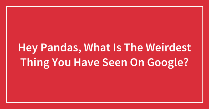 Hey Pandas, What Is The Weirdest Thing You Have Seen On Google?