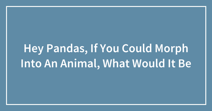Hey Pandas, If You Could Morph Into An Animal, What Would It Be