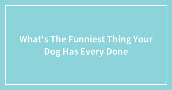 What’s The Funniest Thing Your Dog Has Every Done