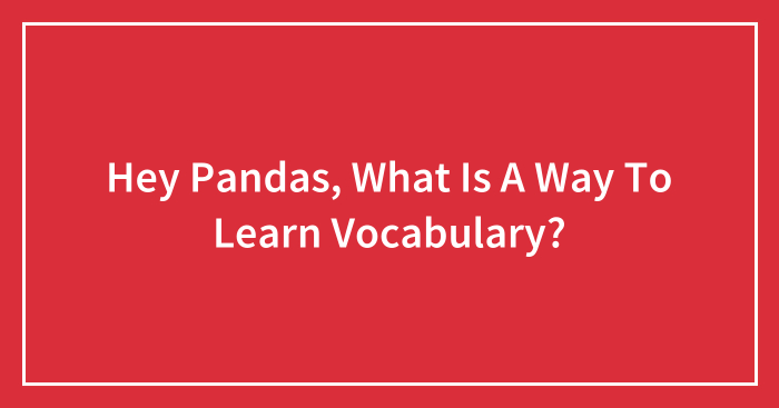 Hey Pandas, What Is A Way To Learn Vocabulary?