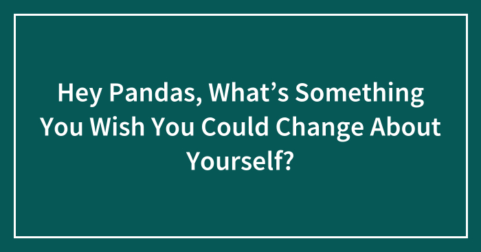 Hey Pandas, What’s Something You Wish You Could Change About Yourself?
