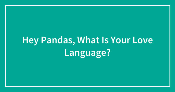 Hey Pandas, What Is Your Love Language? (Closed)