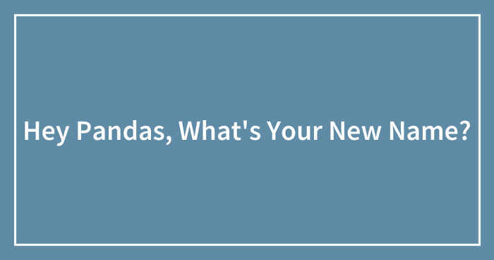 Hey Pandas, What’s Your New Name? (Closed)