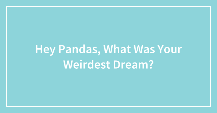 Hey Pandas, What Was Your Weirdest Dream?