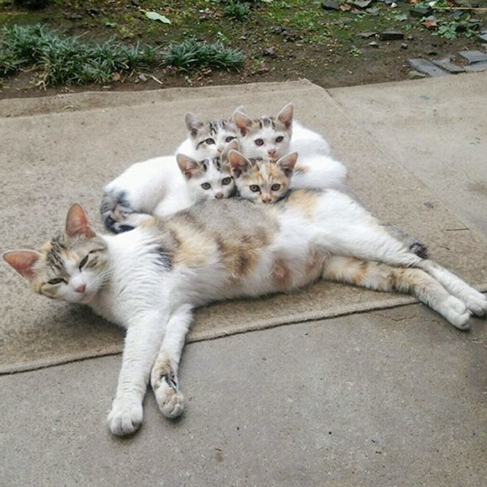 Mom And Her Kids