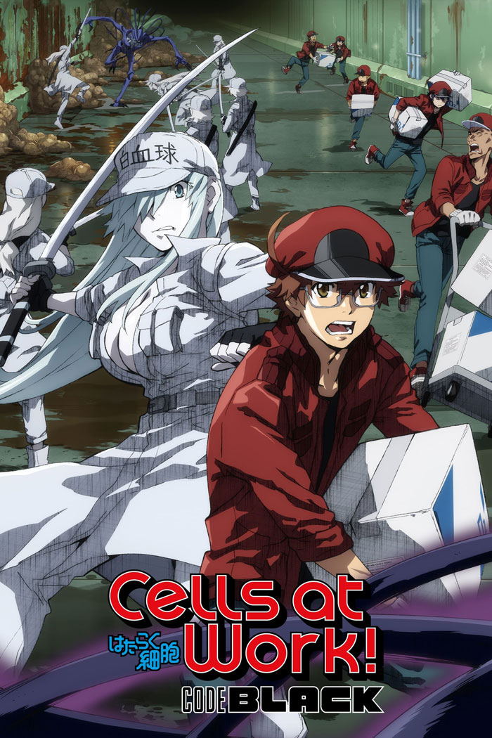 Cells At Work! Code Black