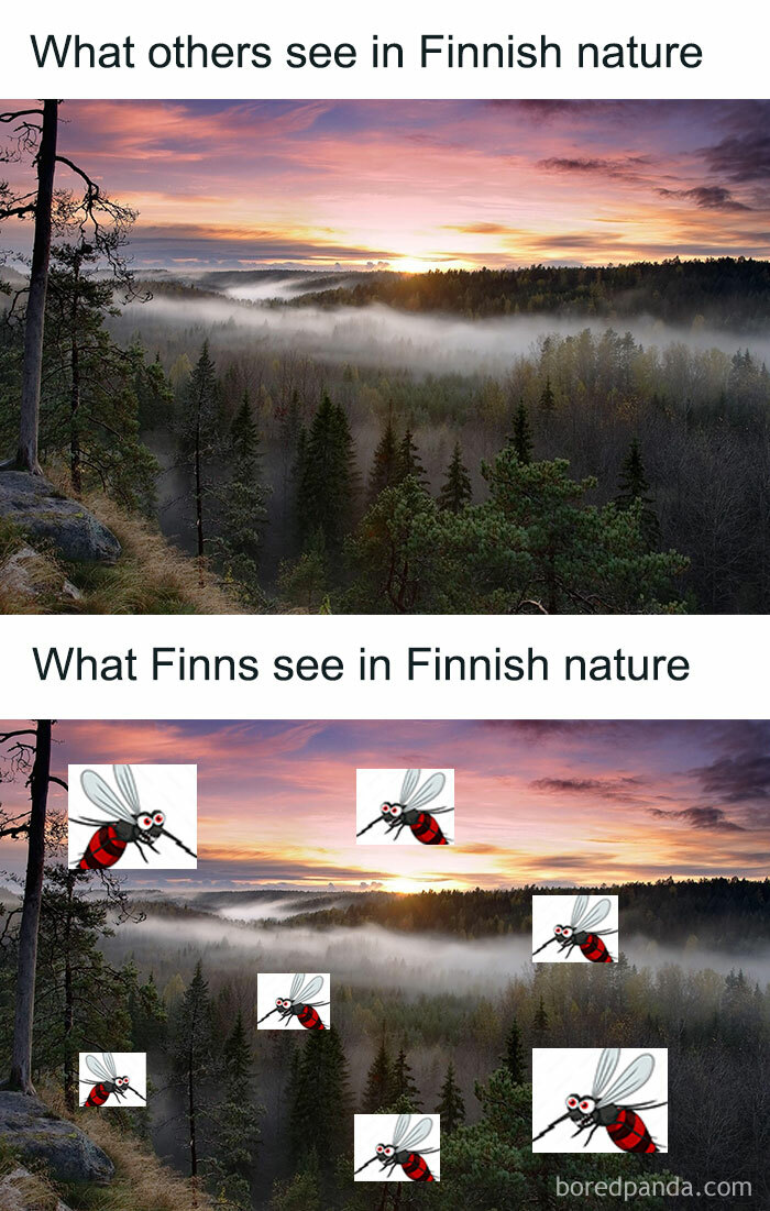 45 Finland Memes That Might Inspire You To Live In 