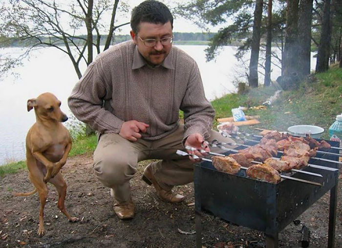 Dobby Can Only Be Freed If Master Presents Him With BBQ